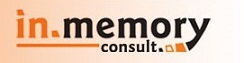 Logo - in.memory.consult