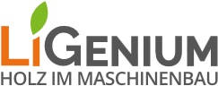 Logo - LiGenium GmbH